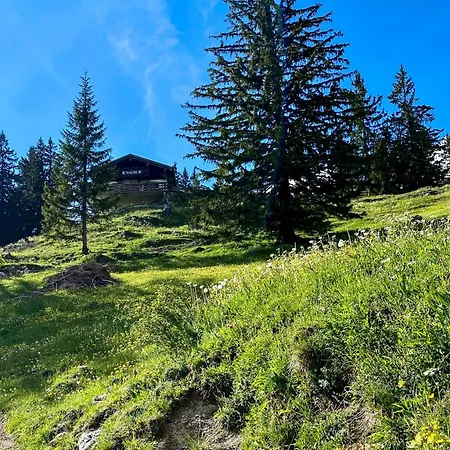 アパート Belisima I - Schliersee I Historisch & Cozy Mit Bergblick I 2 Schlafzimmer フィッシュバッハウ